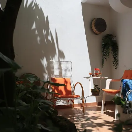 Il Cedrangolo House Tree