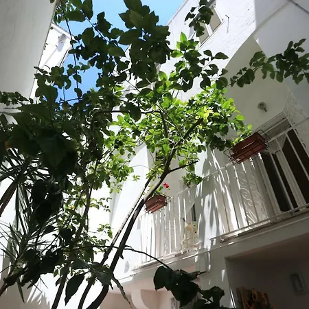 Il Cedrangolo House Tree