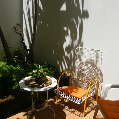 Apartman Il Cedrangolo House Tree *